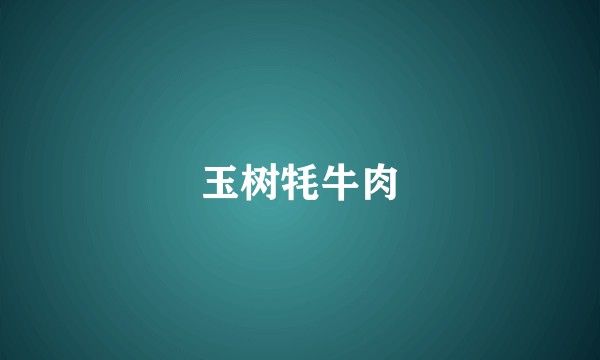 玉树牦牛肉