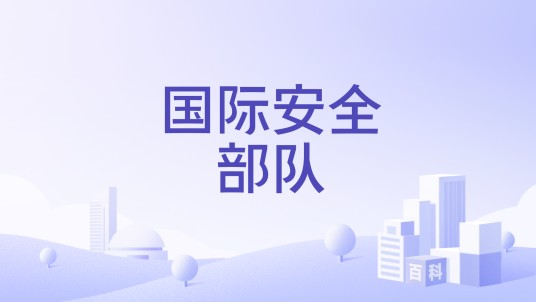 国际安全部队