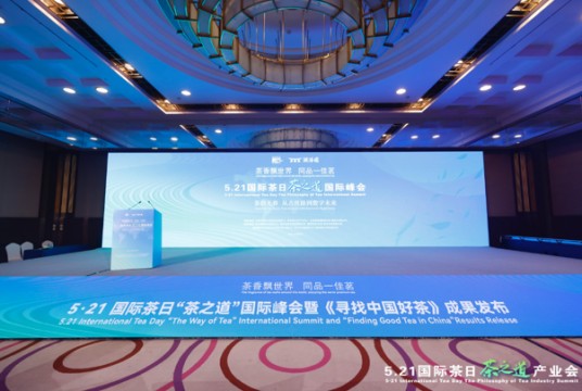 寻找中国好茶