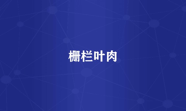 栅栏叶肉