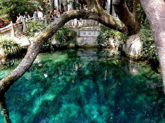 大理蝴蝶泉景区