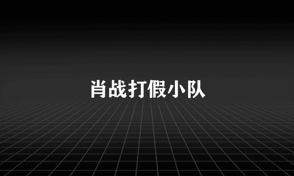 肖战打假小队