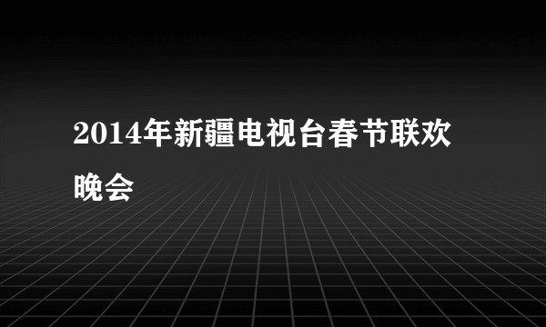 2014年新疆电视台春节联欢晚会