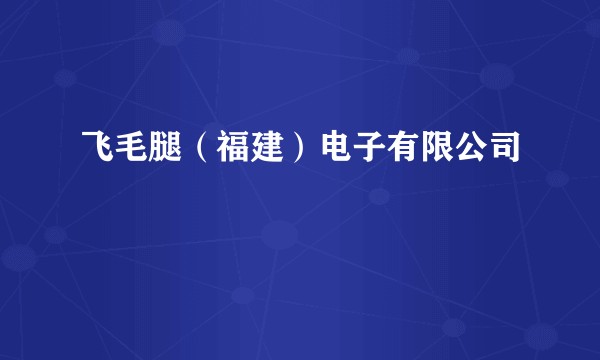 飞毛腿（福建）电子有限公司