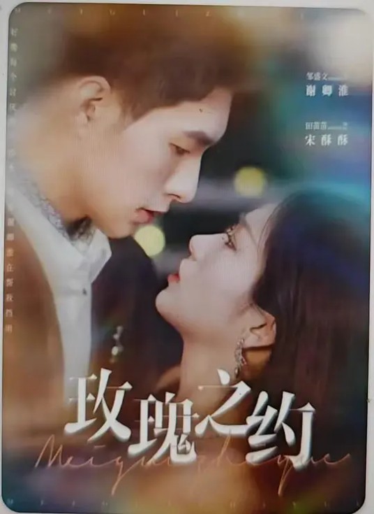 玫瑰之约（中国大陆爱情题材网络短剧）