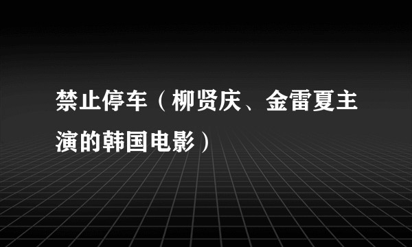 禁止停车（柳贤庆、金雷夏主演的韩国电影）
