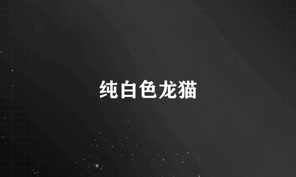 纯白色龙猫