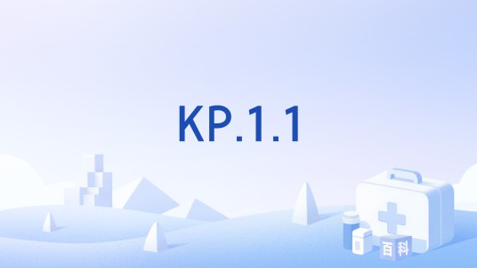 KP.1.1
