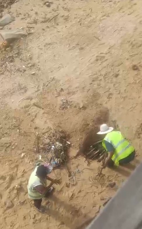 8·23日照海滩环卫工将垃圾挖坑掩埋事件