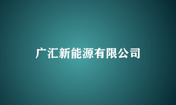 广汇新能源有限公司