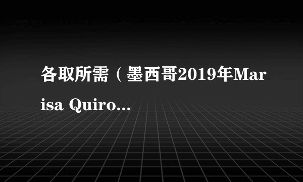 各取所需（墨西哥2019年Marisa Quiroga执导的电视剧）