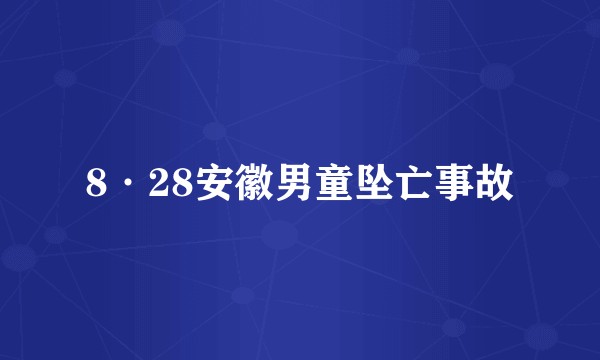 8·28安徽男童坠亡事故