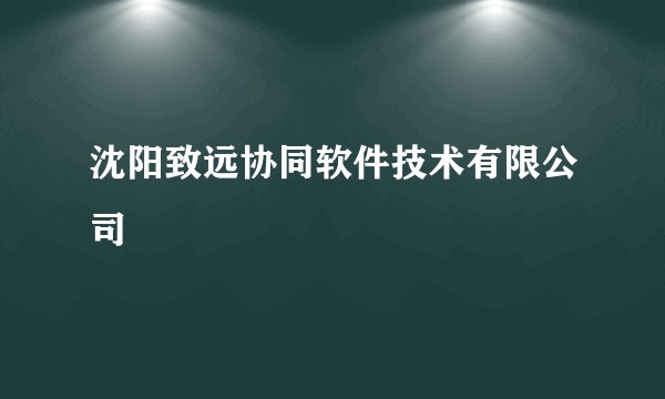 沈阳致远协同软件技术有限公司