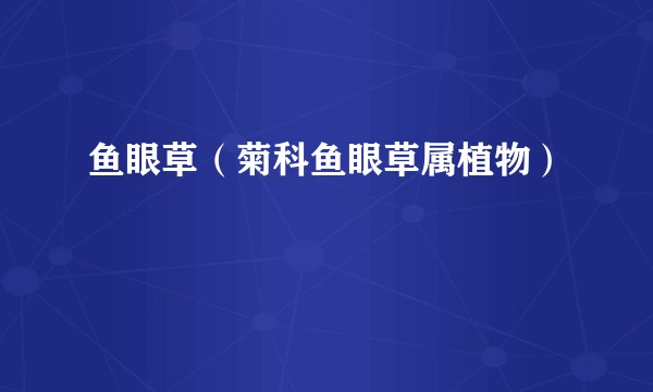 鱼眼草（菊科鱼眼草属植物）