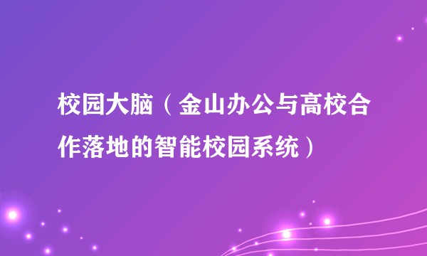 校园大脑（金山办公与高校合作落地的智能校园系统）