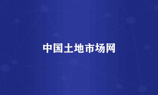 中国土地市场网
