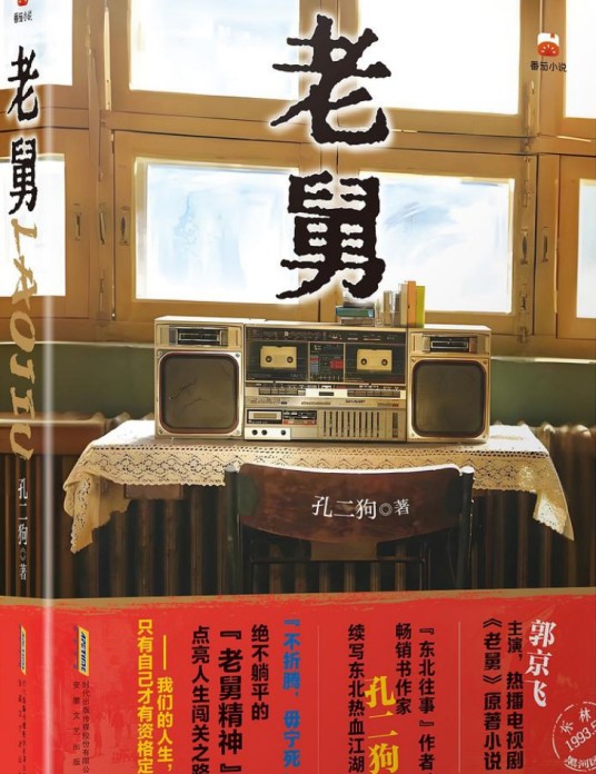 老舅（孔二狗所创作的都市日常类网络小说）
