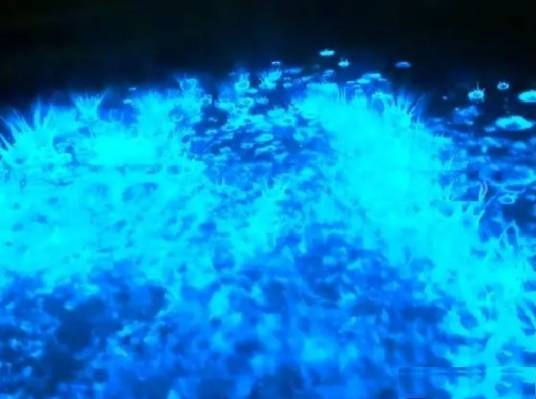 荧光海（海洋生物受机械刺激发光的自然现象）
