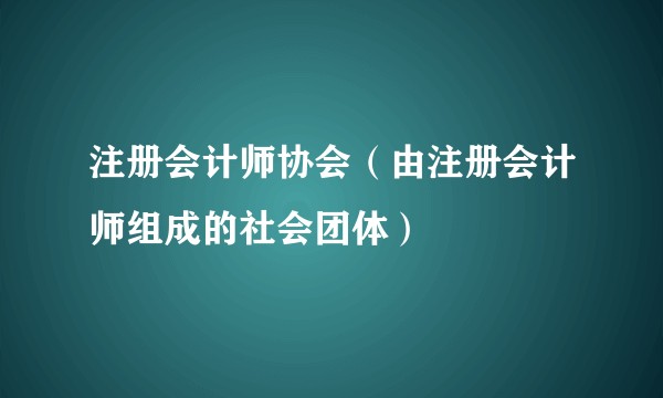 注册会计师协会（由注册会计师组成的社会团体）