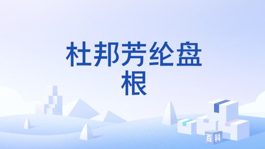 杜邦芳纶盘根