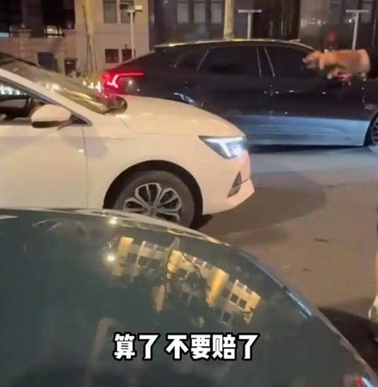 6·5上海特斯拉被撞事故