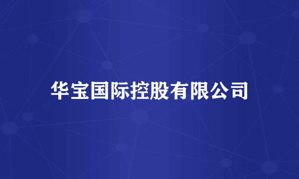 华宝国际控股有限公司