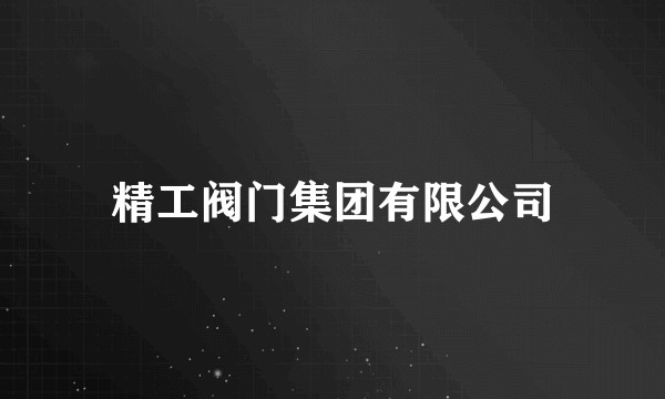 精工阀门集团有限公司