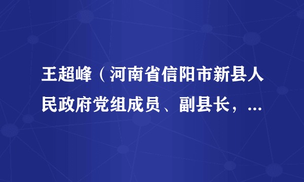 王超峰（河南省信阳市新县人民政府党组成员、副县长，县公安局党委书记、局长）