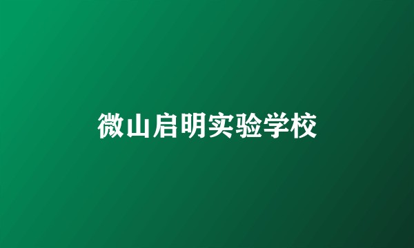 微山启明实验学校
