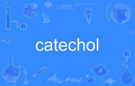 catechol