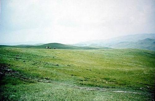 奎香雨龙山