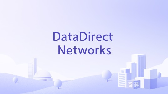 DataDirect Networks