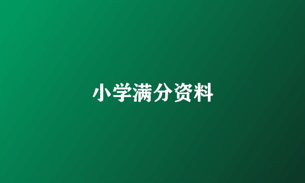 小学满分资料
