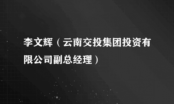 李文辉（云南交投集团投资有限公司副总经理）