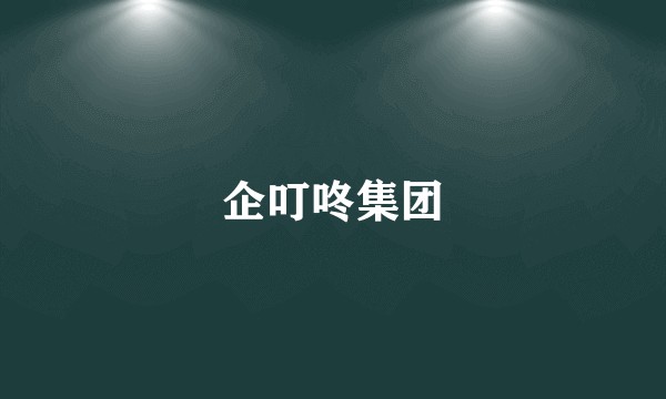 企叮咚集团