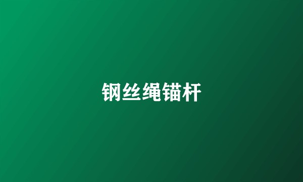钢丝绳锚杆