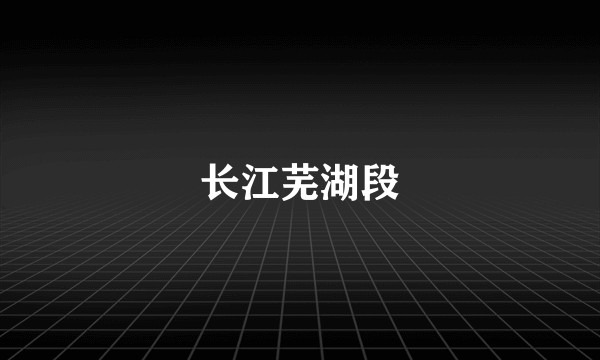 长江芜湖段