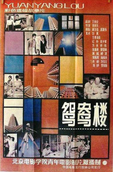 鸳鸯楼（1987年郑洞天执导的剧情电影）