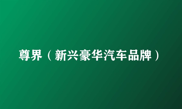 尊界（新兴豪华汽车品牌）