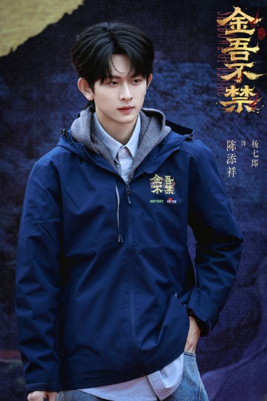 杨七郎（电视剧《金吾不禁》中的角色）