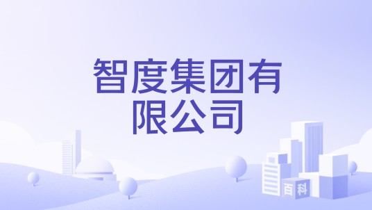 智度集团有限公司