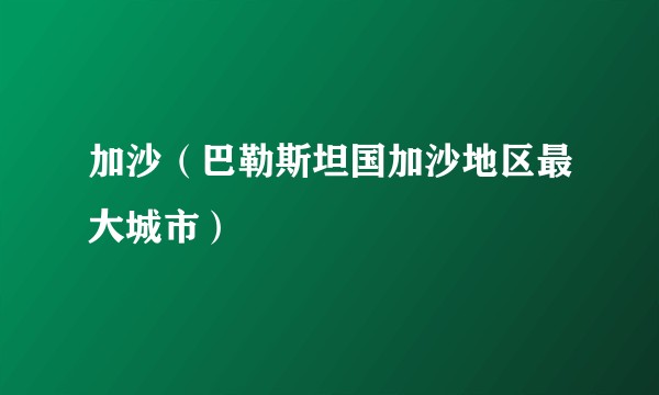 加沙（巴勒斯坦国加沙地区最大城市）