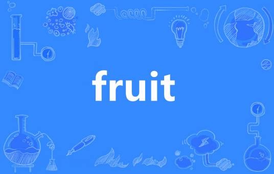 fruit(英语单词)