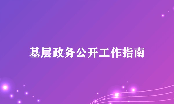 基层政务公开工作指南
