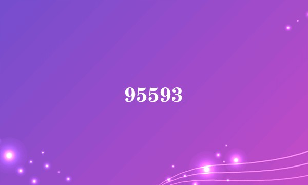 95593