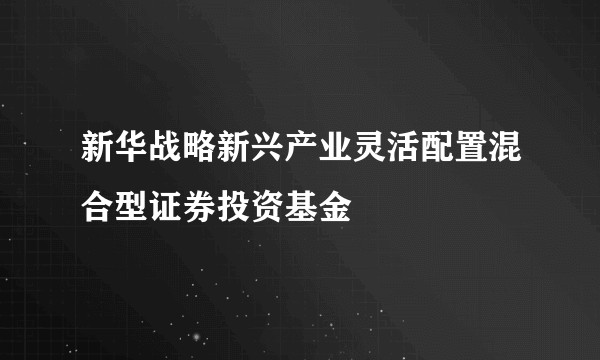 新华战略新兴产业灵活配置混合型证券投资基金