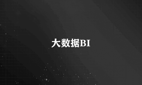 大数据BI