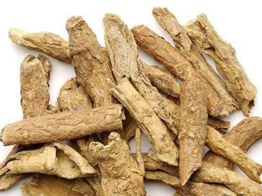 地骨皮（中药）