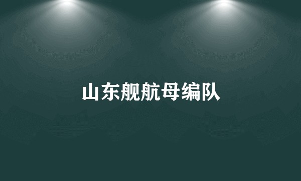 山东舰航母编队