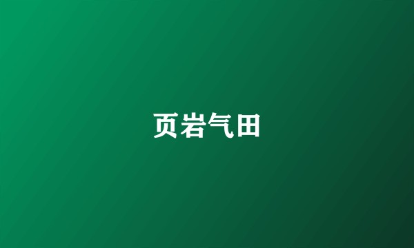 页岩气田